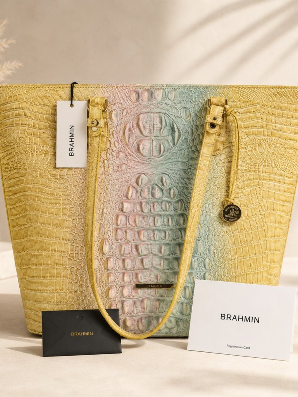 Brahmin Ellen Large Tote Ombre Daybreak Melbourne Leather NWT